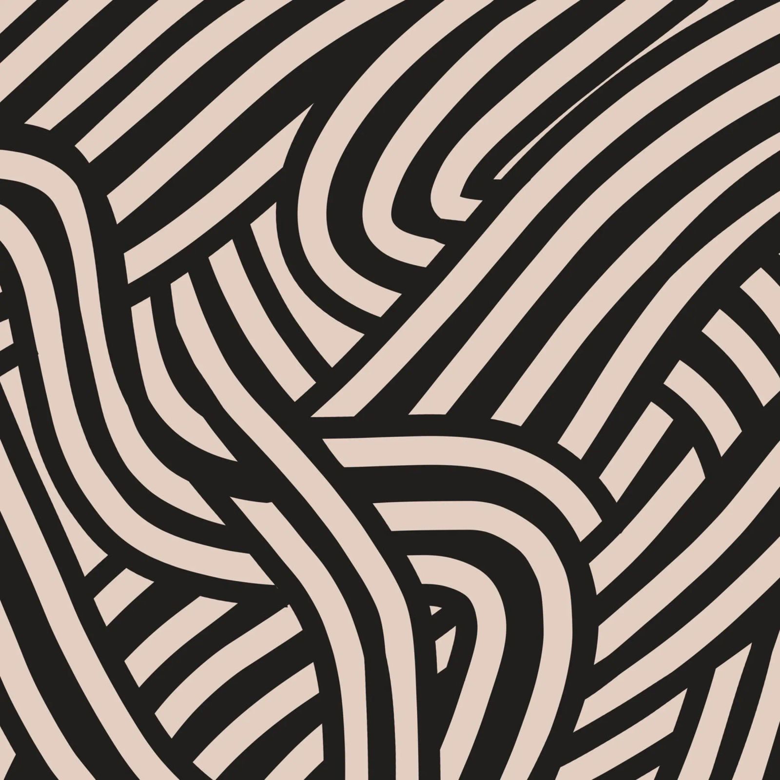 Asymmetrical linocut line art pattern 02 canvas by Little Dean