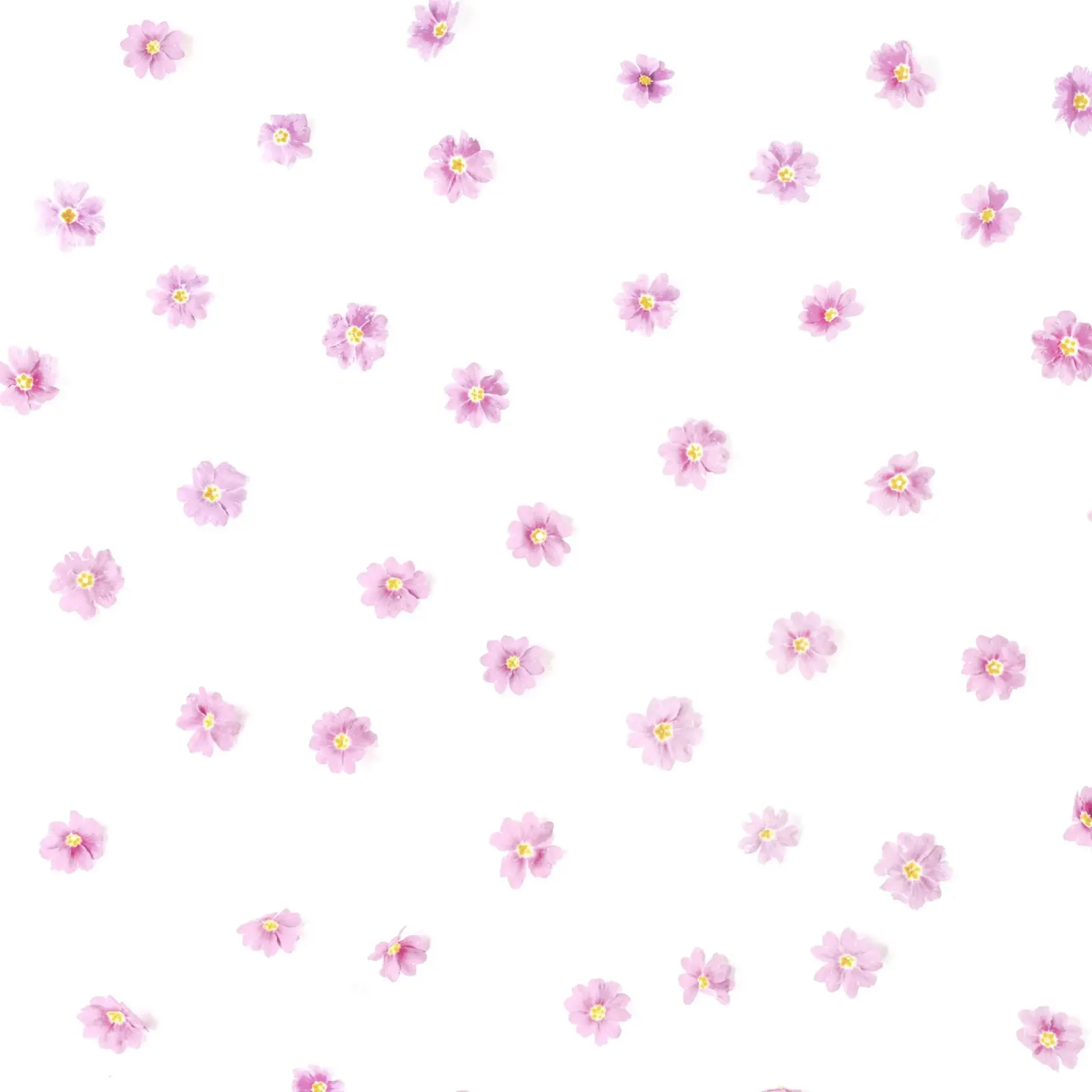 Blush pellicola backlit da PhotoVibe Decor