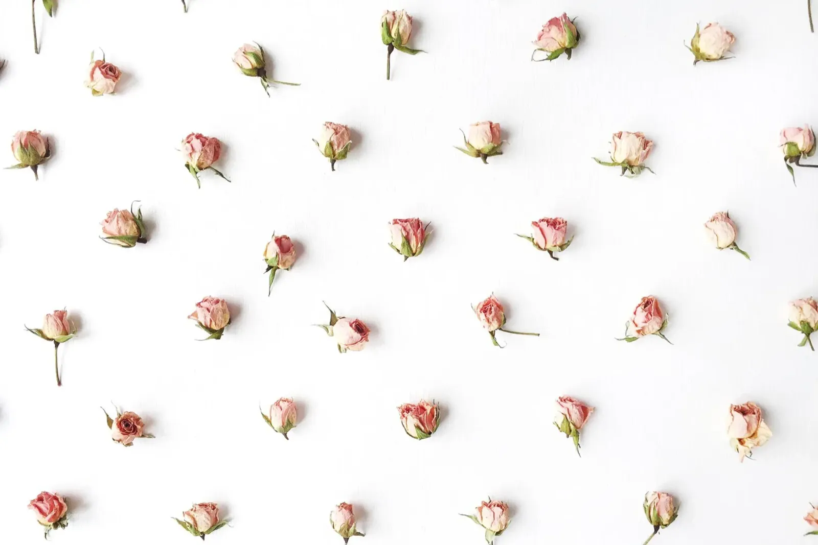 Blush pellicola backlit da PhotoVibe Decor