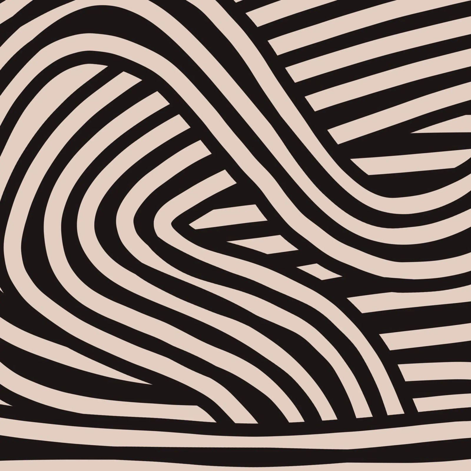 Asymmetrical linocut line art pattern 04 canvas by Little Dean