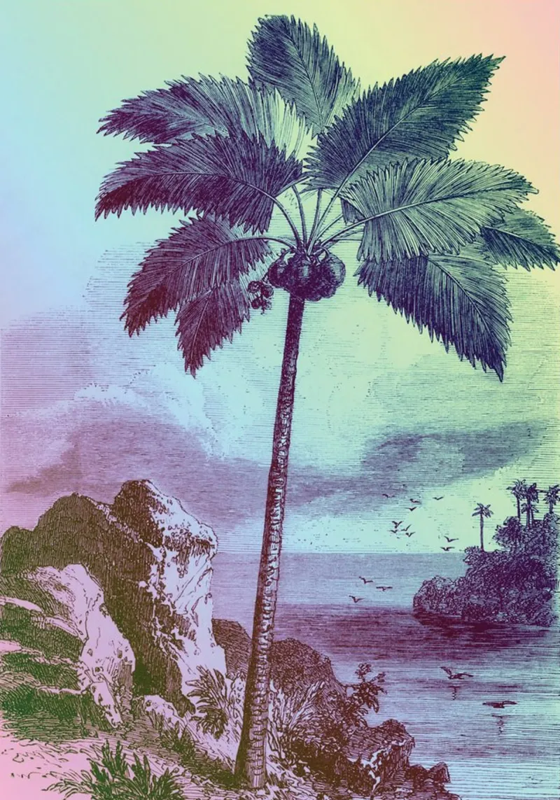 Palm Pop: II | Press Play Art Print Remix hahnemühle de Press Play Art Prints