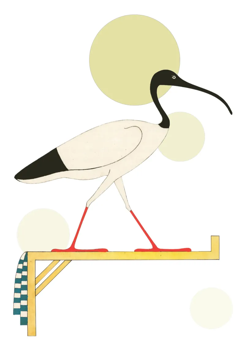 Mystieke Ibis | Press Play Kunstdruk Collage canvas met Baklijst van Press Play Art Prints