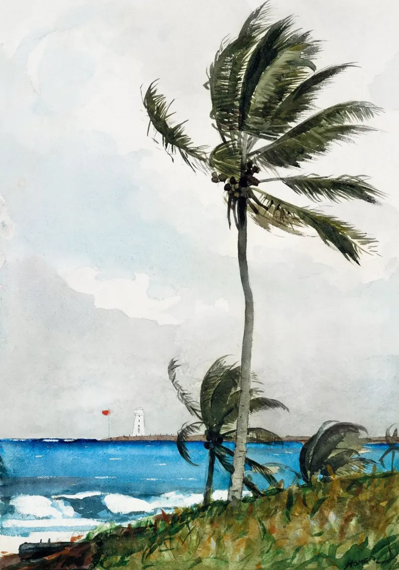Palm Tree, Nassau poster con telaio in plastica da vintageshop