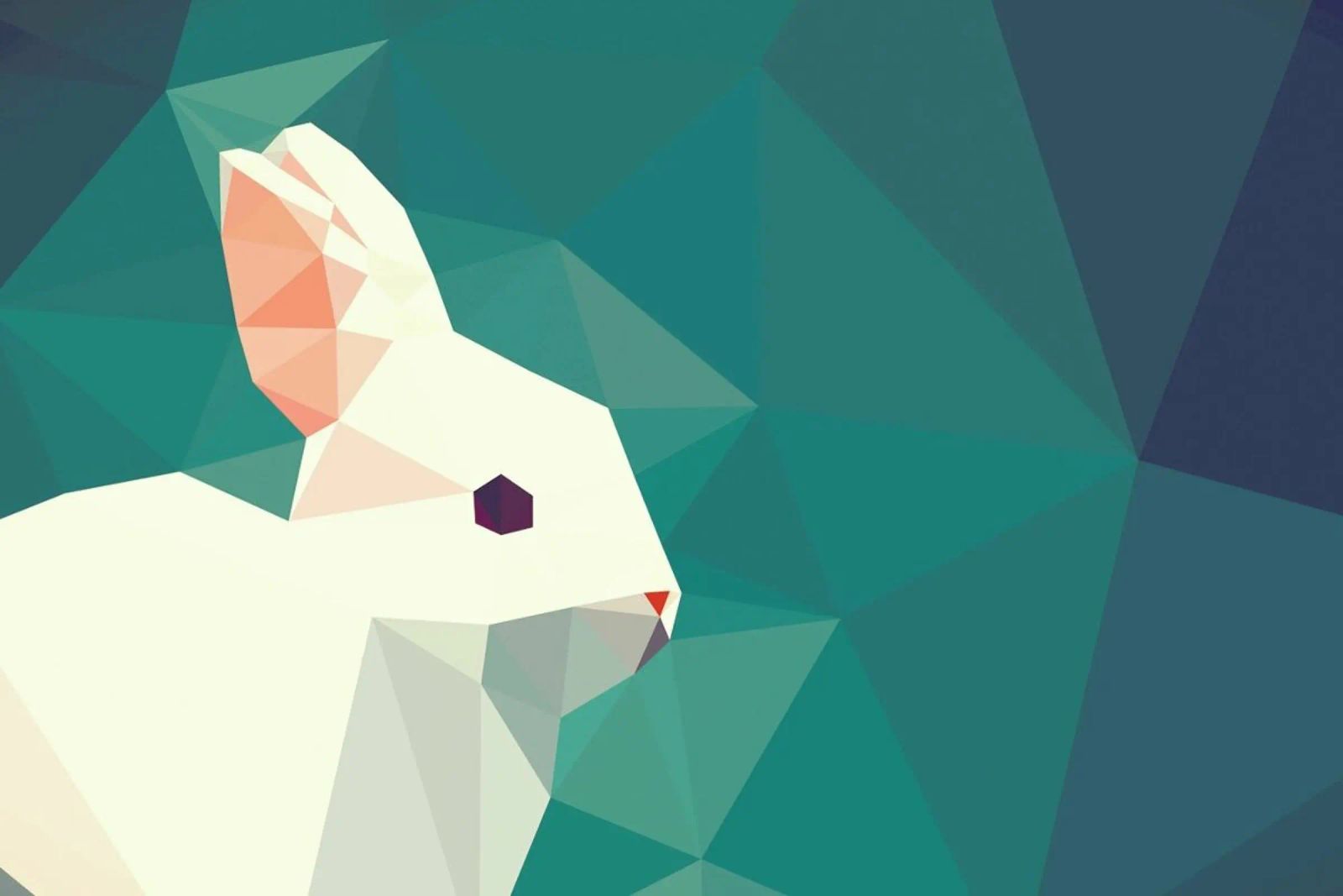 Oryctolagus cuniculus poster by Matěj Kašpar Jirásek