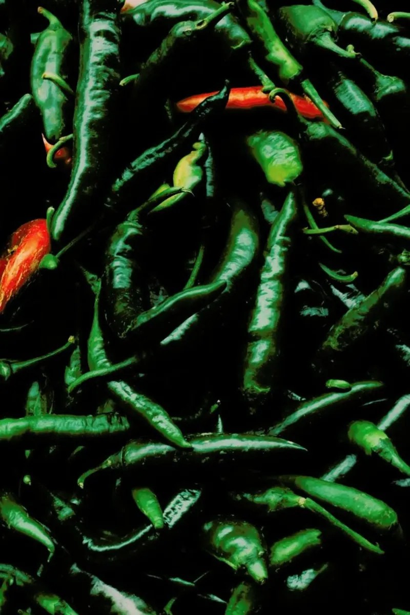 Green Spicyness pellicola backlit da Sebastian Hilgetag