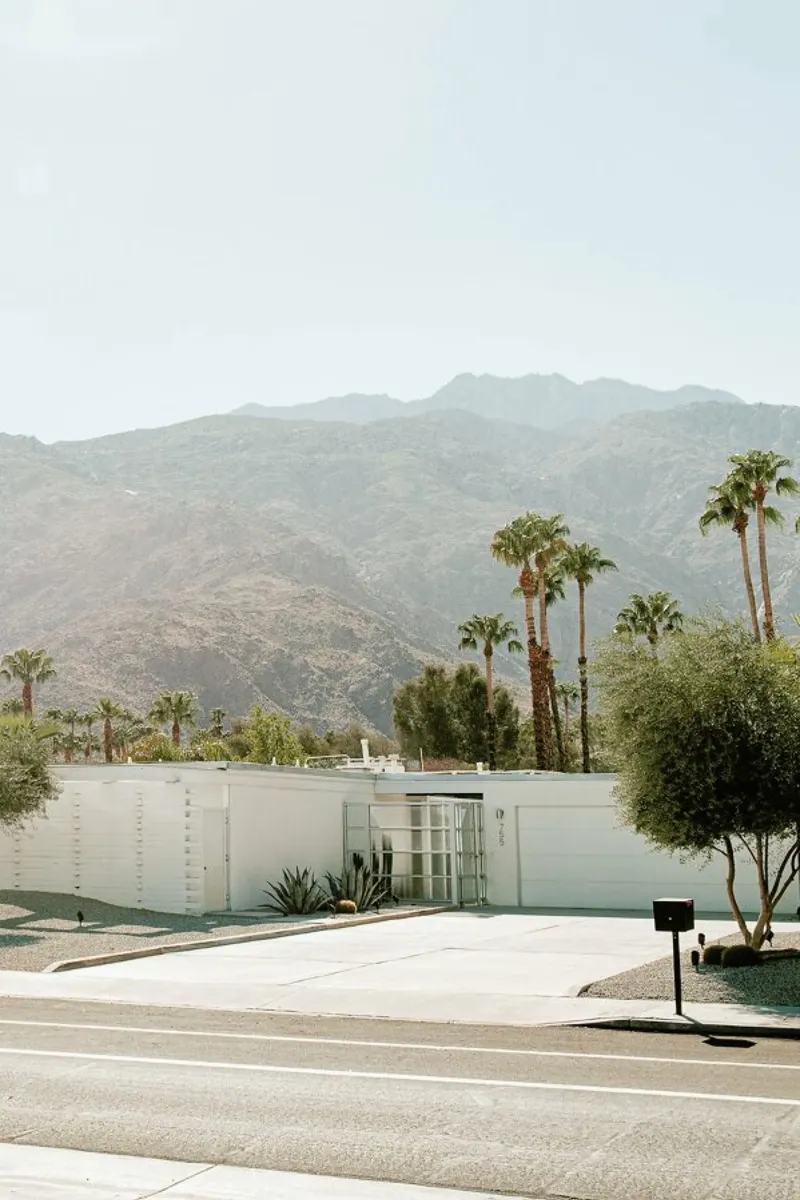 Palm Springs pellicola backlit da Chris Abatzis
