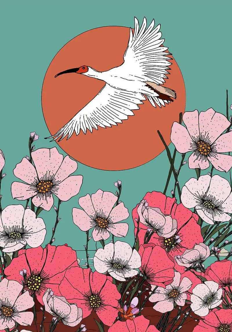 Illustrazione di gru e fiori poster da BirdShop