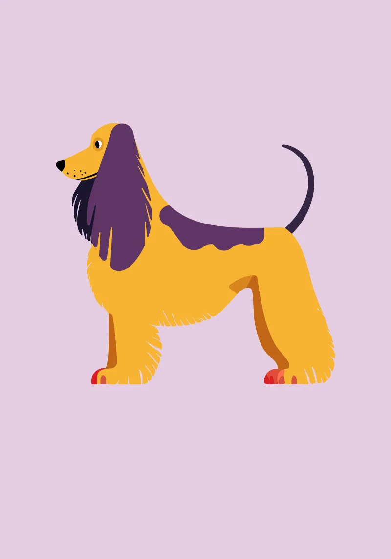 Afghanische Dogge poster con telaio in alluminio da DARIA IVANOVNA