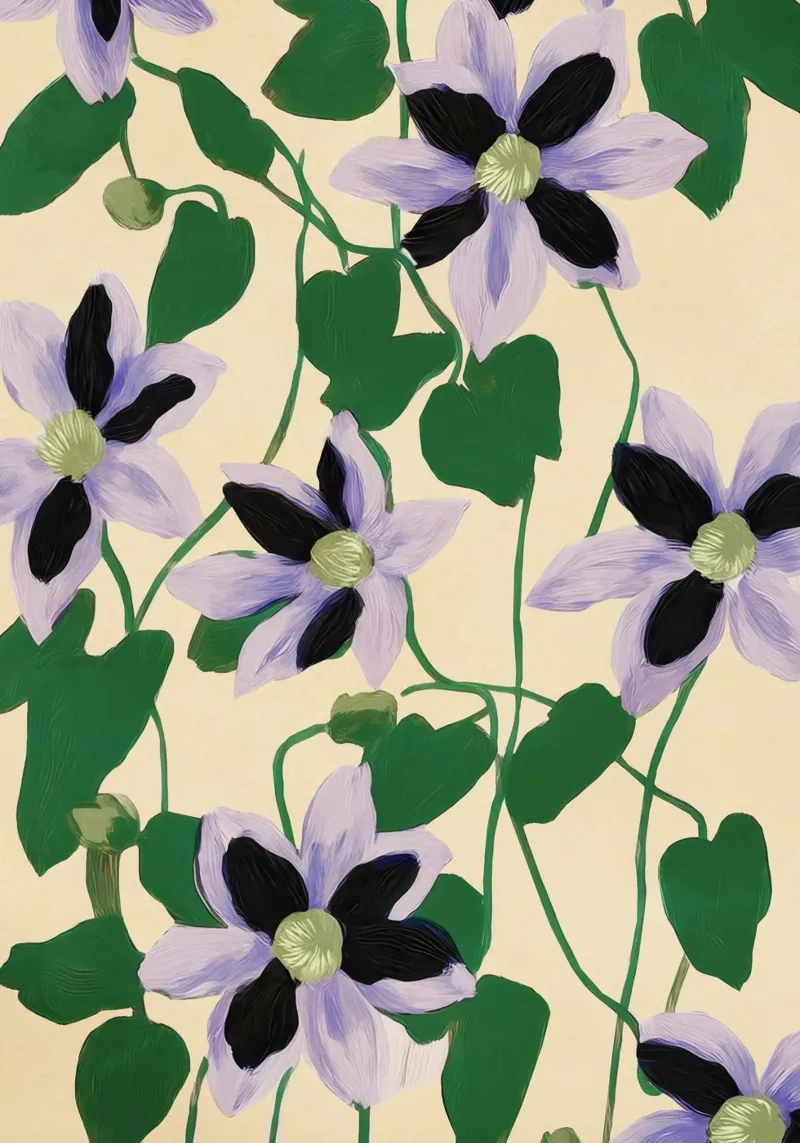 Clematis Botanical Illustration pellicola backlit da Flow Line