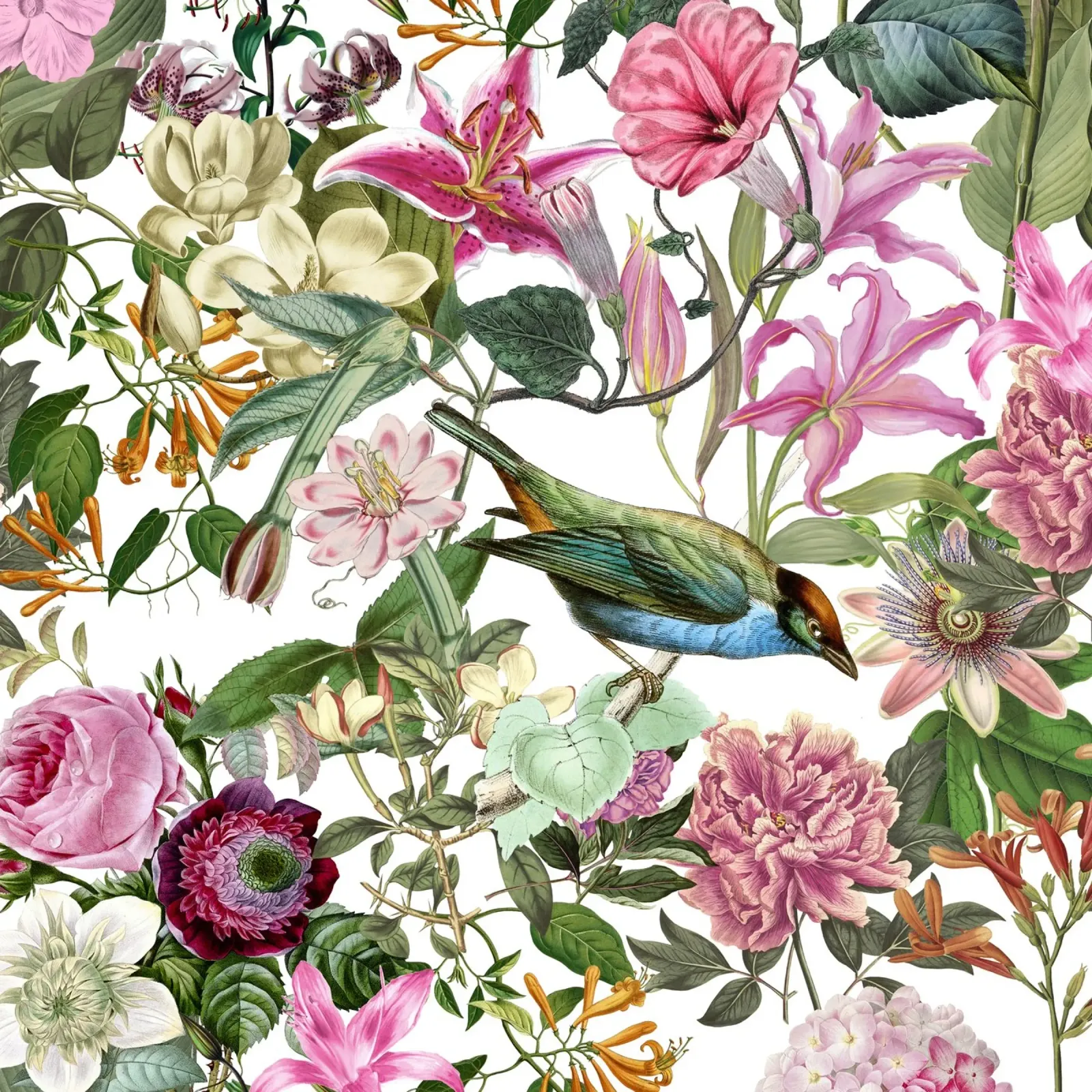 Memoria Pastello Giardino Uccelli e Fiori pellicola backlit da Andrea Haase Vintage World