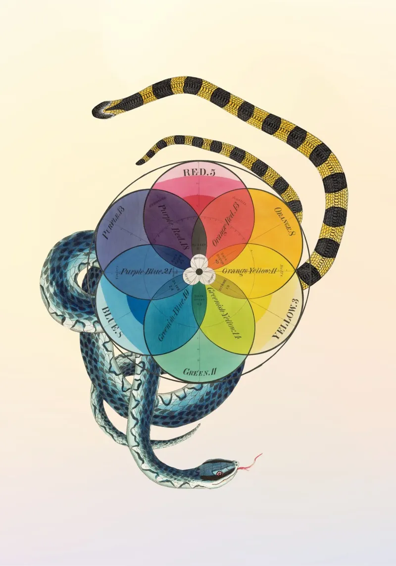 Serpentine Spectrum | Press Play Art Print Collage forex plate by Press Play Art Prints