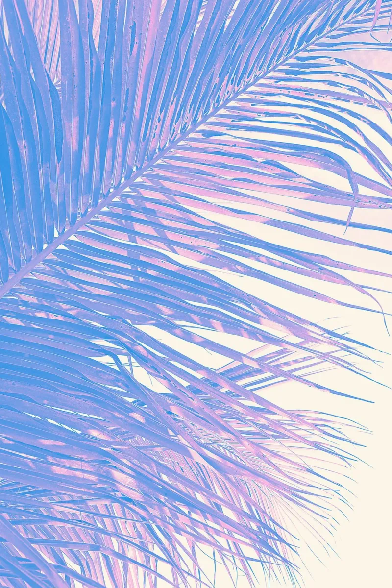 Summer Vibes carta hahnemühle da adrianooliveiraphoto