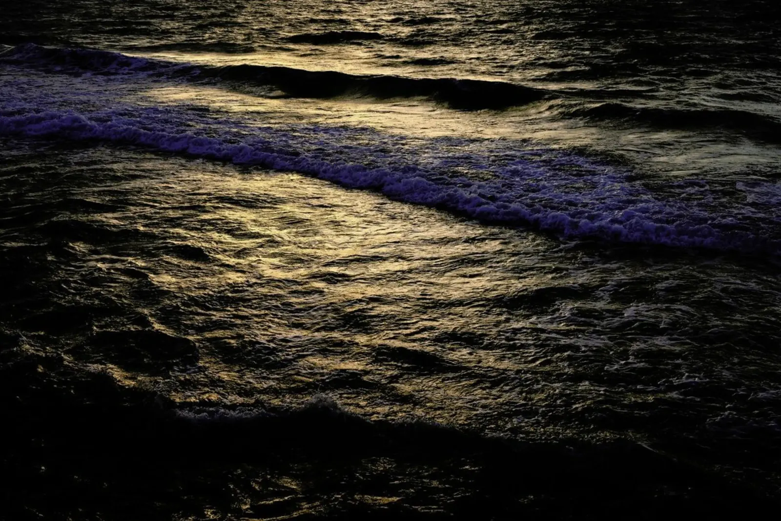 Seaside #41 pellicola backlit da Tal Paz-Fridman