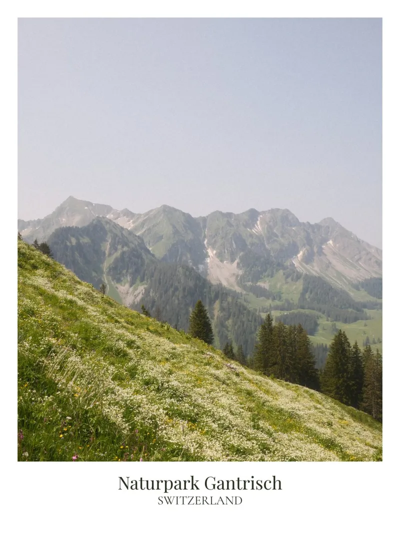 Gantrisch III: Switzerland alluminio dibond da FujiFrames