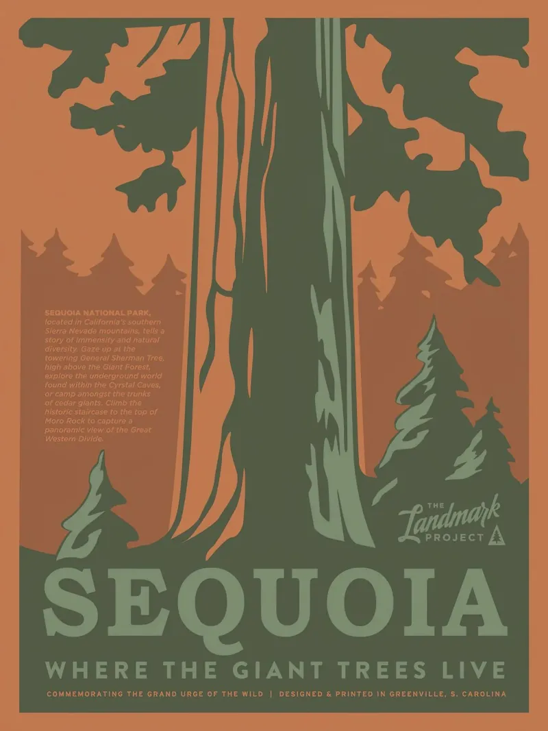 Parco nazionale di Sequoia pellicola backlit da williamsshop