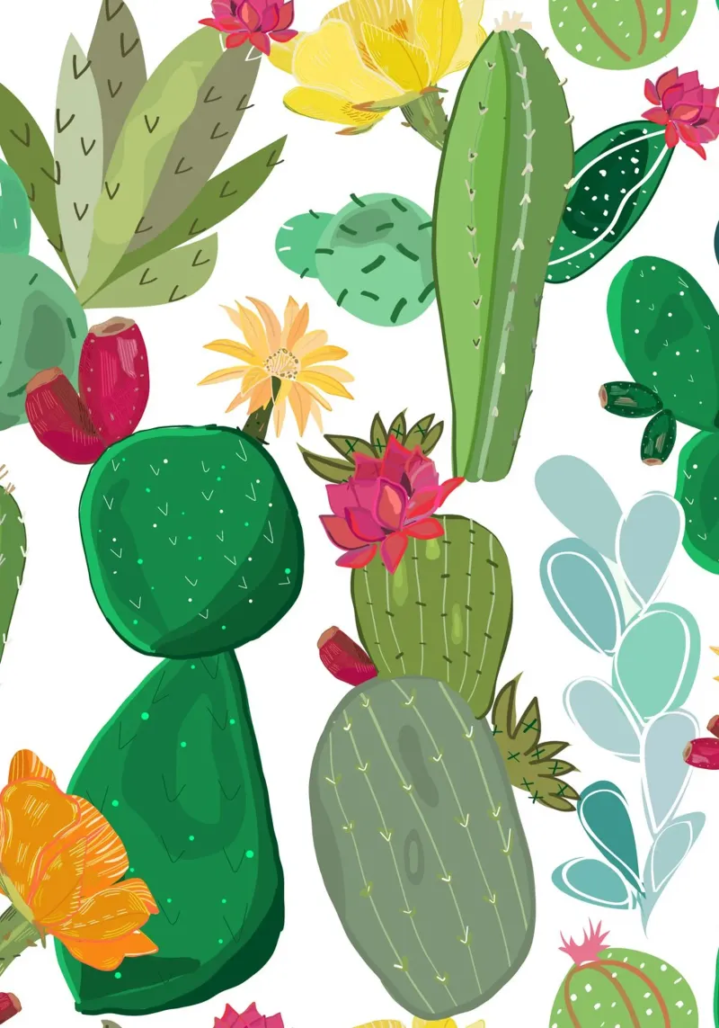 Motif de cactus et de succulentes toile de gulsengunel