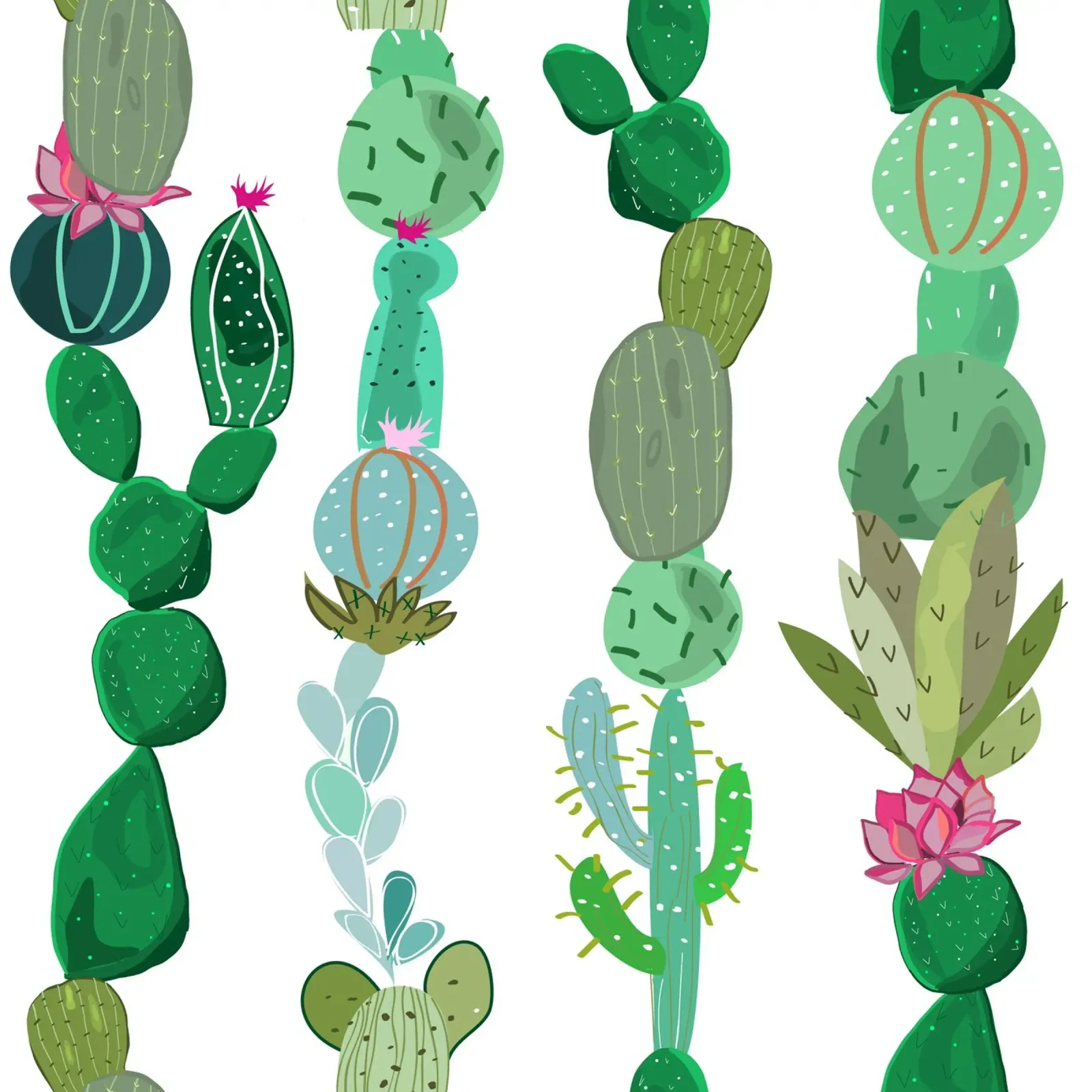 Cactus e succulente carta hahnemühle da gulsengunel