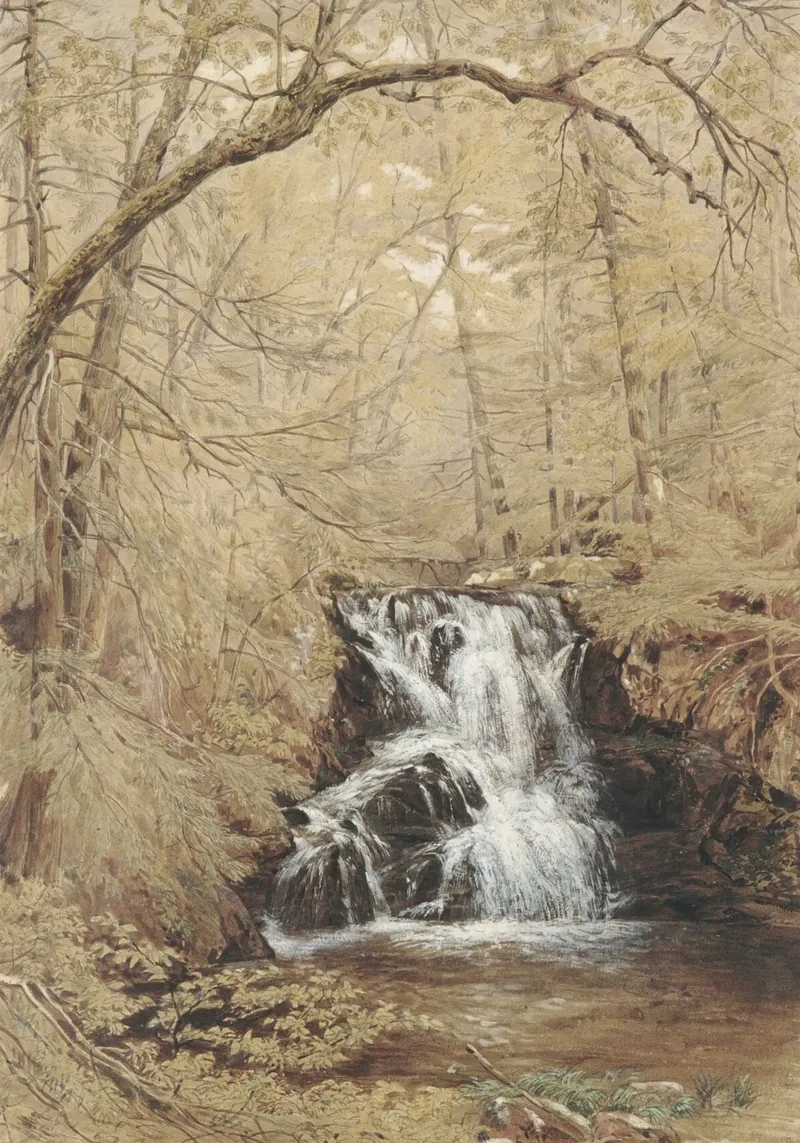 Cascata romantica: Cascata nella foresta e natura selvaggia e serena pellicola backlit da ClubArt