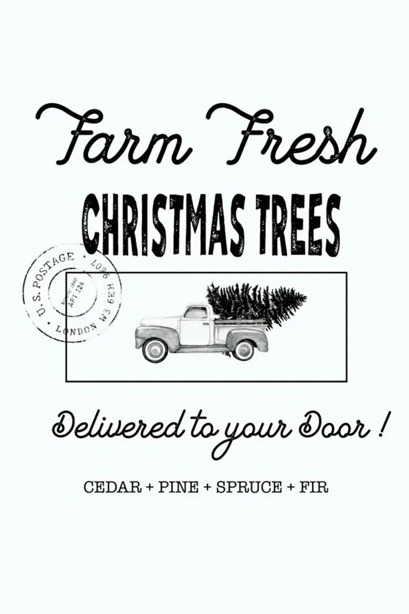 Farm Fresh Christmas Trees tela con Cornice a cassetta da Monika Strigel