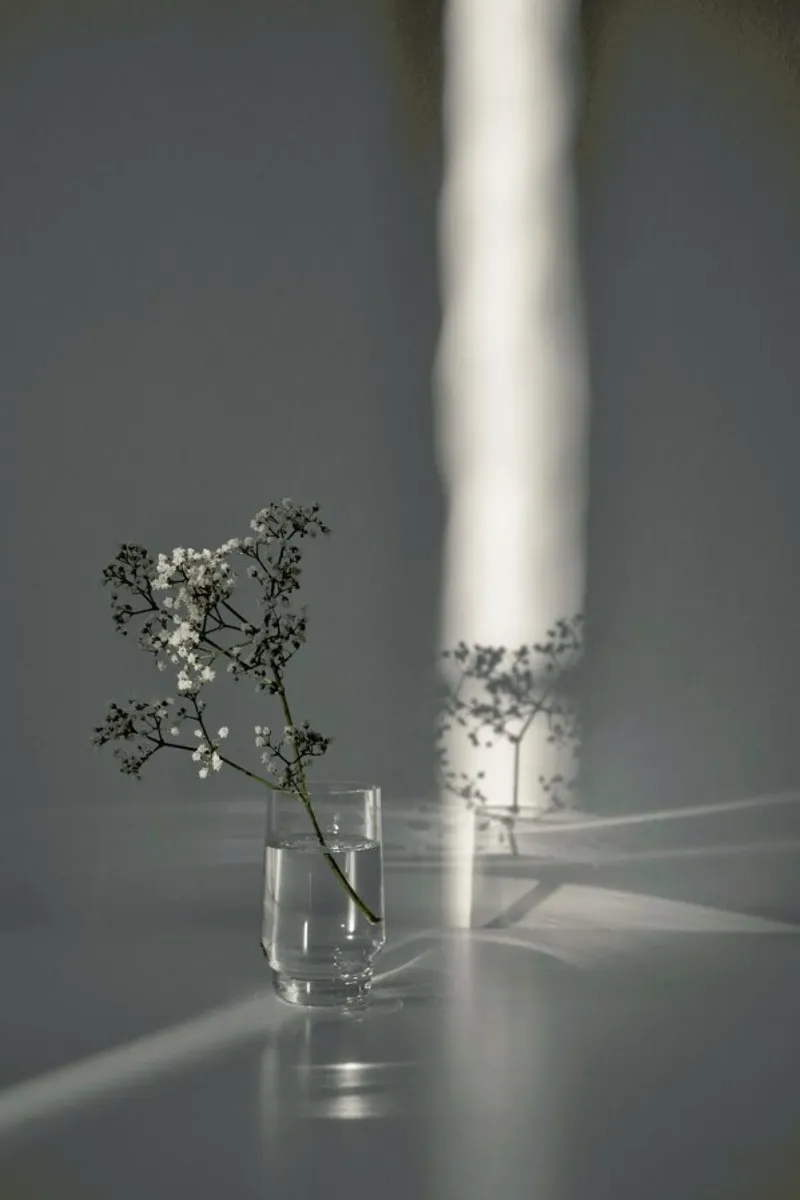 Flower Branch In A Magic Sunbeam pellicola backlit da Studio Nahili