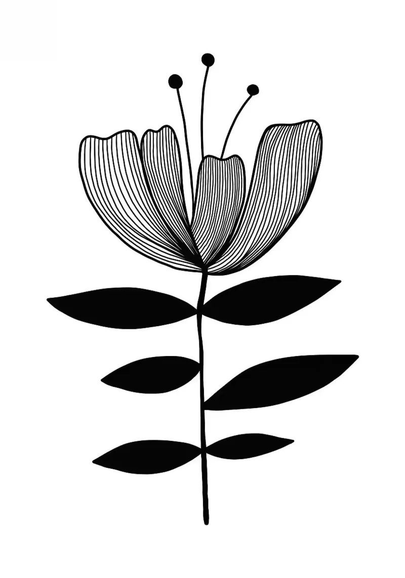 Illustrazione floreale in bianco e nero pellicola backlit da FlowersShop