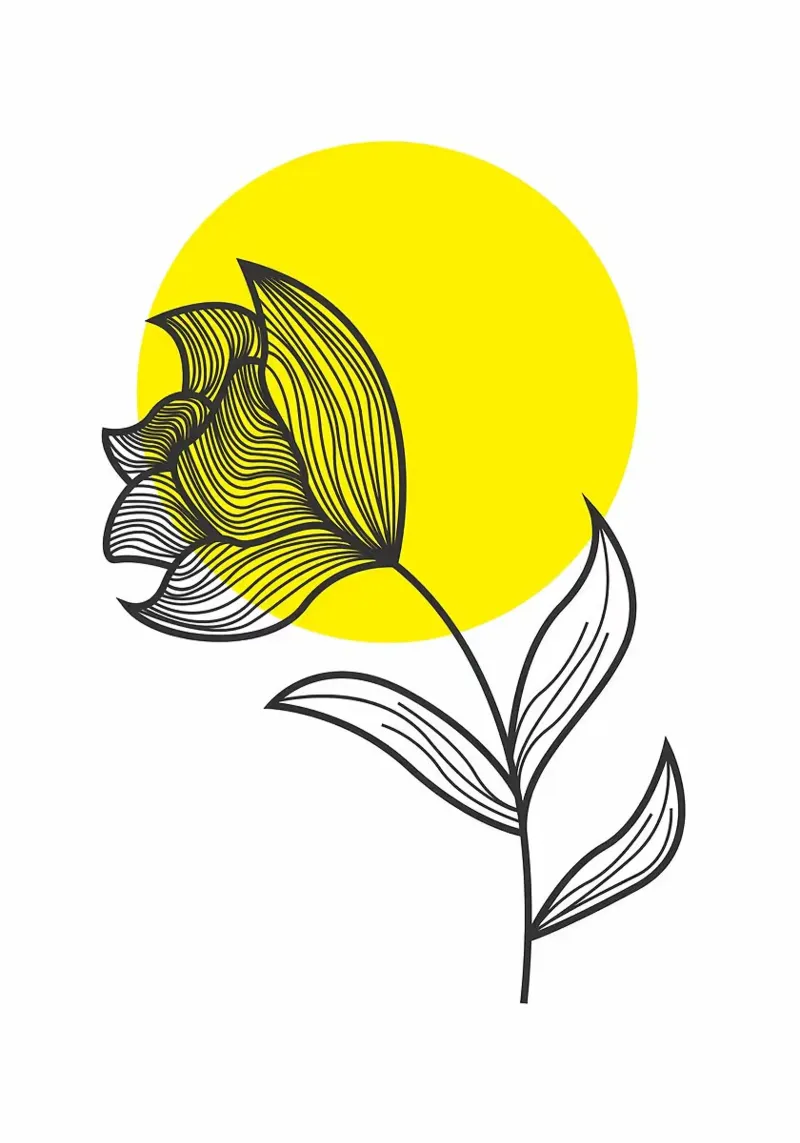 fiore e sole pellicola backlit da FlowersShop