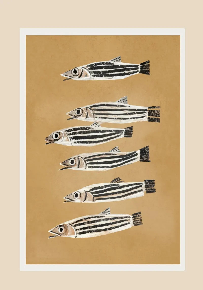 Minimal Fish Study pellicola backlit da cityart