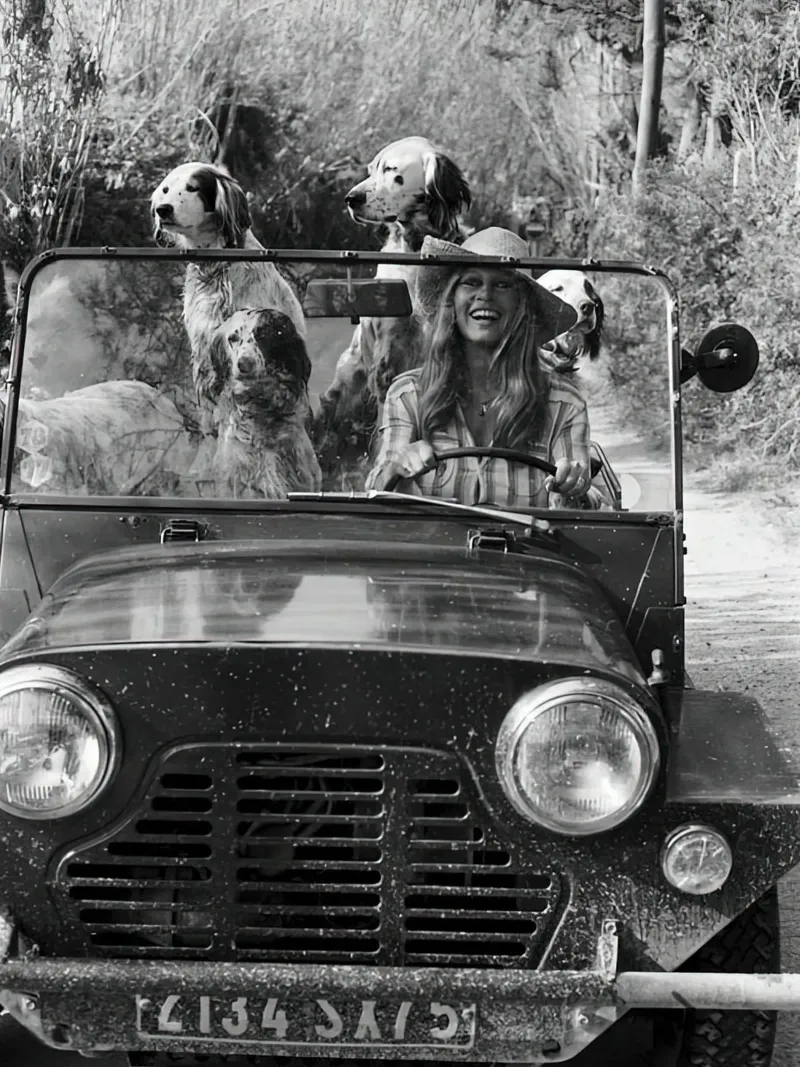Animal Car Vintage photograph poster with plastic frame by Black And White