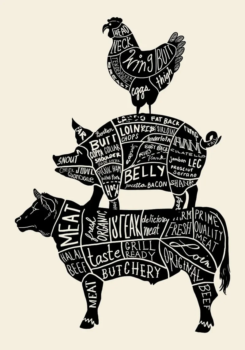 Mucca Maiale Pollo Parti pellicola backlit da Patrick J Curtis