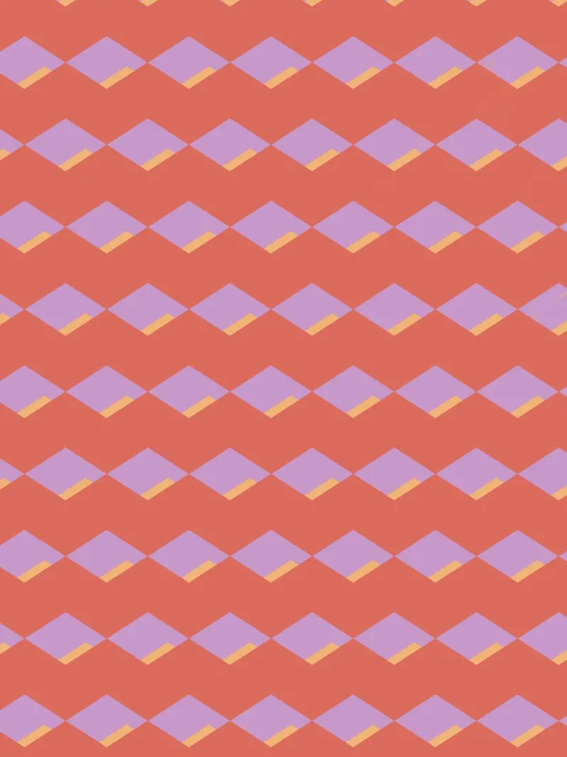 Ruitrood zigzagpatroon canvas van Little Dean
