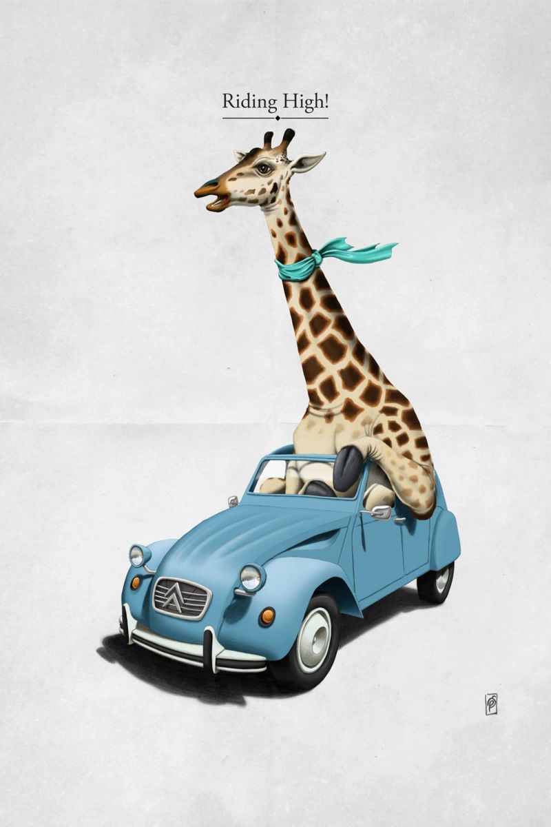 Riding High (Titled) poster by Rob Art | Illustration