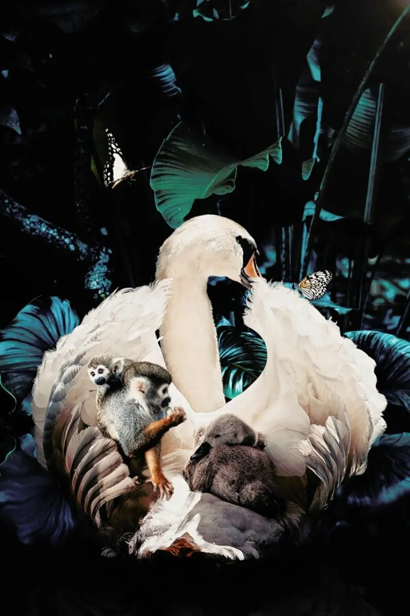 Swan plexiglass da Wouter Rikken