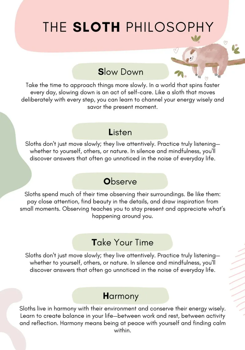 The sloth philosophy for mindfulness and serenity backlit film by SlothStella