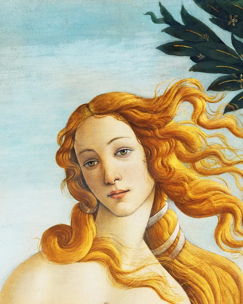La nascita di Venere - Particolare di Sandro Botticelli pellicola backlit da Art History