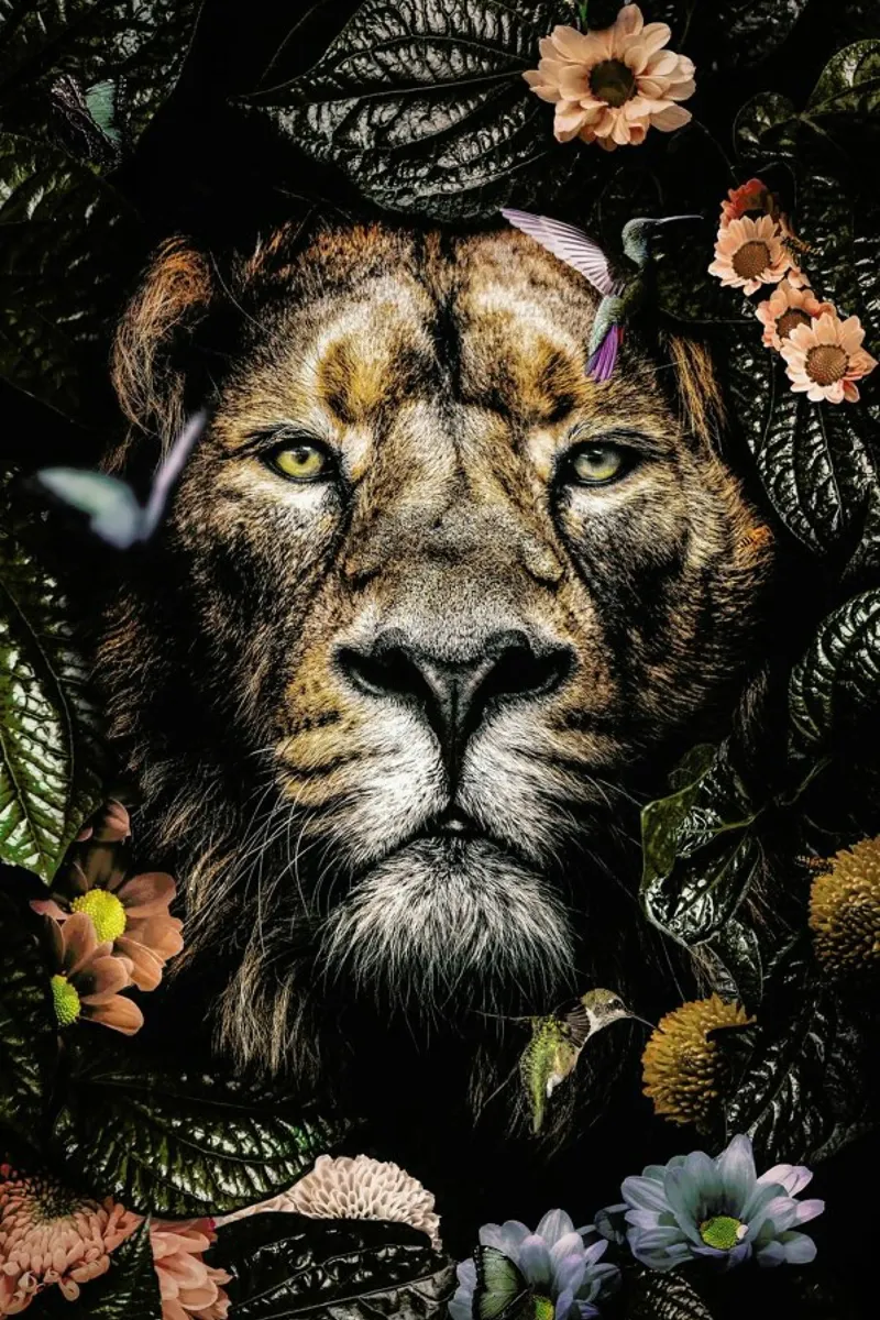 Wk Lion poster con telaio in legno da Wouter Rikken