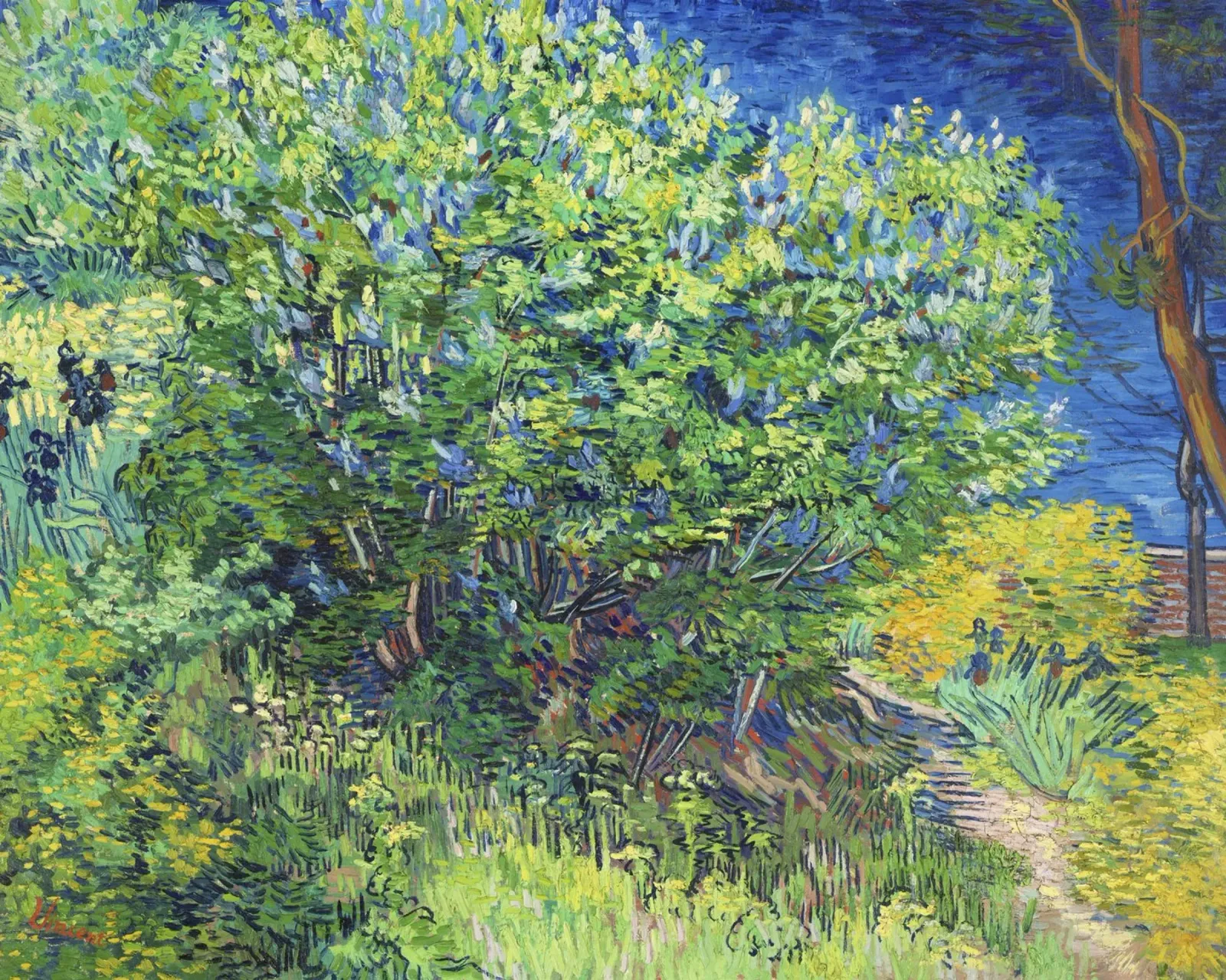 Lilac Bush (1889) by Vincent van Gogh acrylic glass by Van Gogh Prints