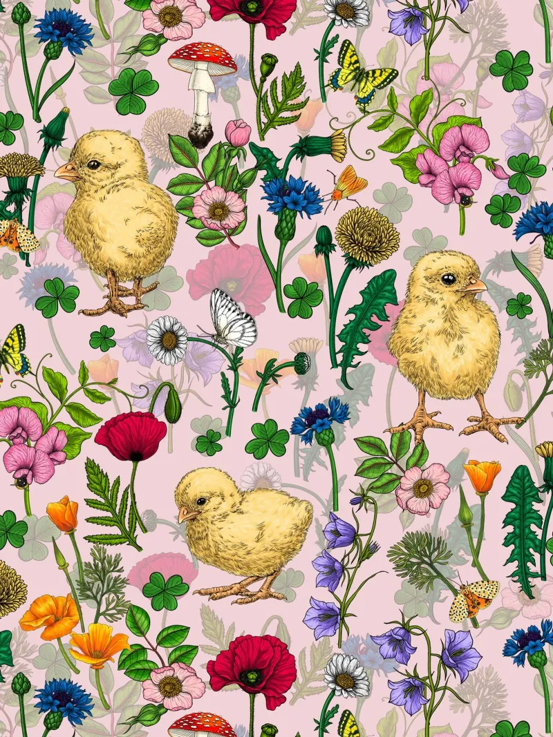 Polli e fiori di campo su rosa zucchero filato tela con Cornice a cassetta da Painted Nature