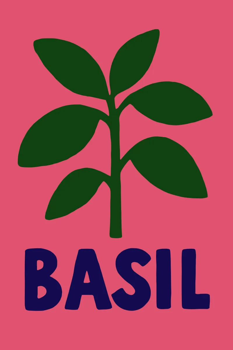 Basilikum Pop – Artezza Style poster con telaio in plastica da Artezza