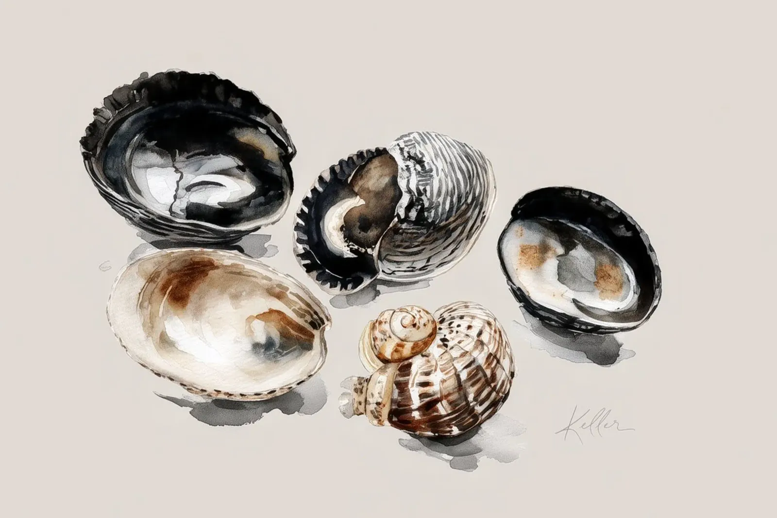 Scoperte in spiaggia poster da Matthias Keller Studio