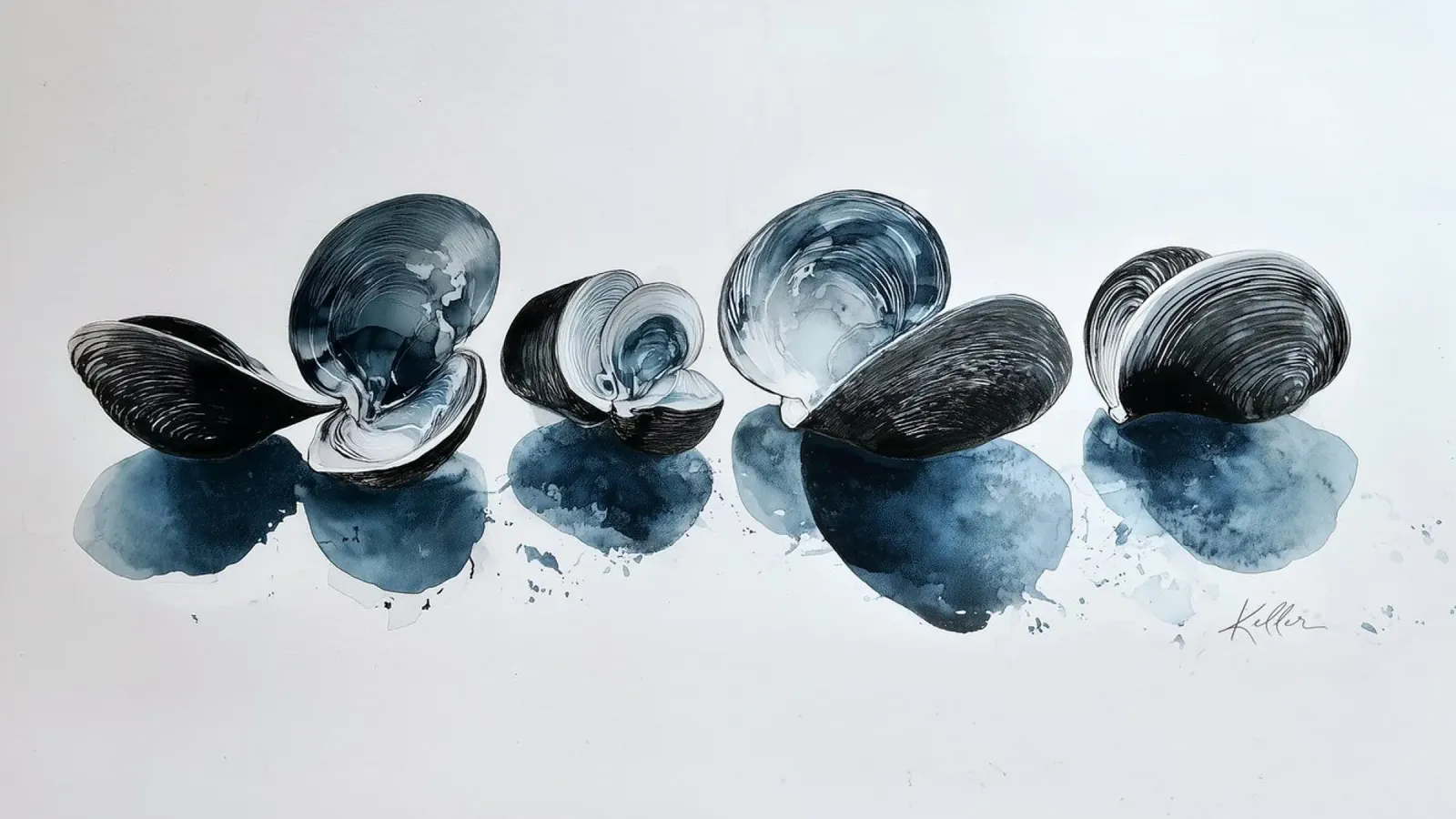 Línea de bajamar metacrilato de Matthias Keller Studio