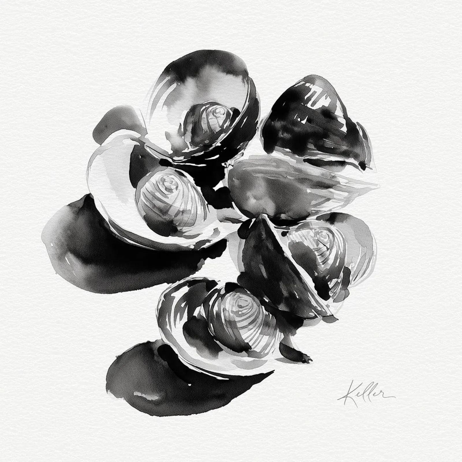 Calma in cluster carta hahnemühle da Matthias Keller Studio