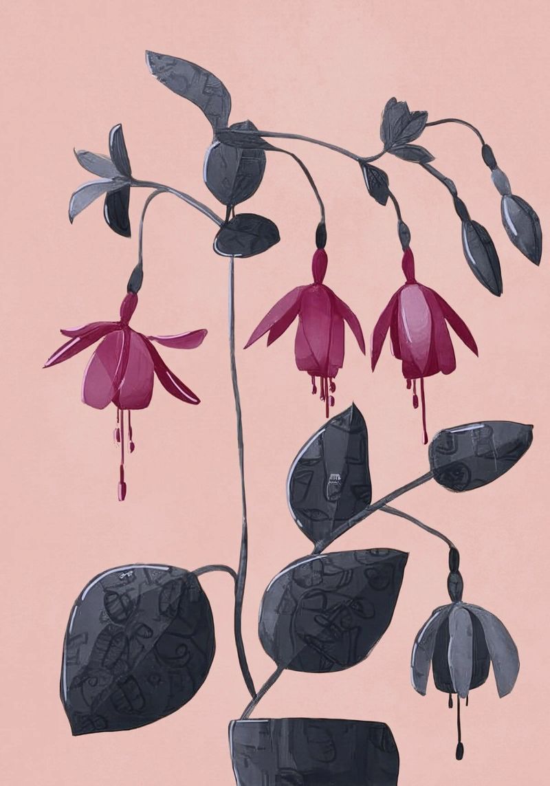 Fuchsia Botanical Drawing pellicola backlit da Flow Line