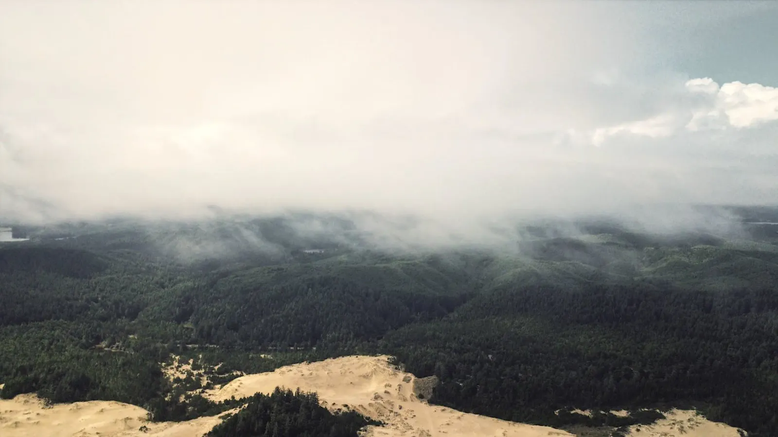 cloudy nature forest backlit film by life of sands