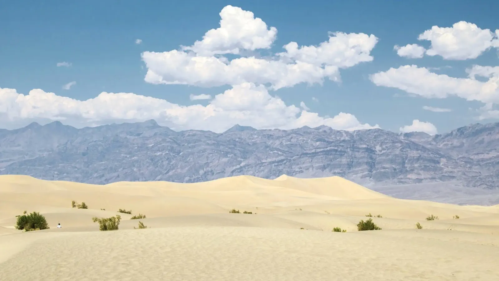 uninhabited desert backlit film by life of sands
