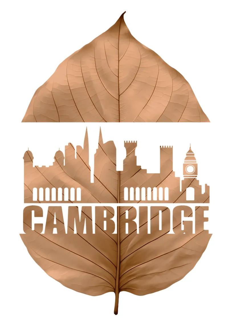 ilustrazione di taglio della foglia dello skyline della città di cambridge pellicola backlit da kahfiza
