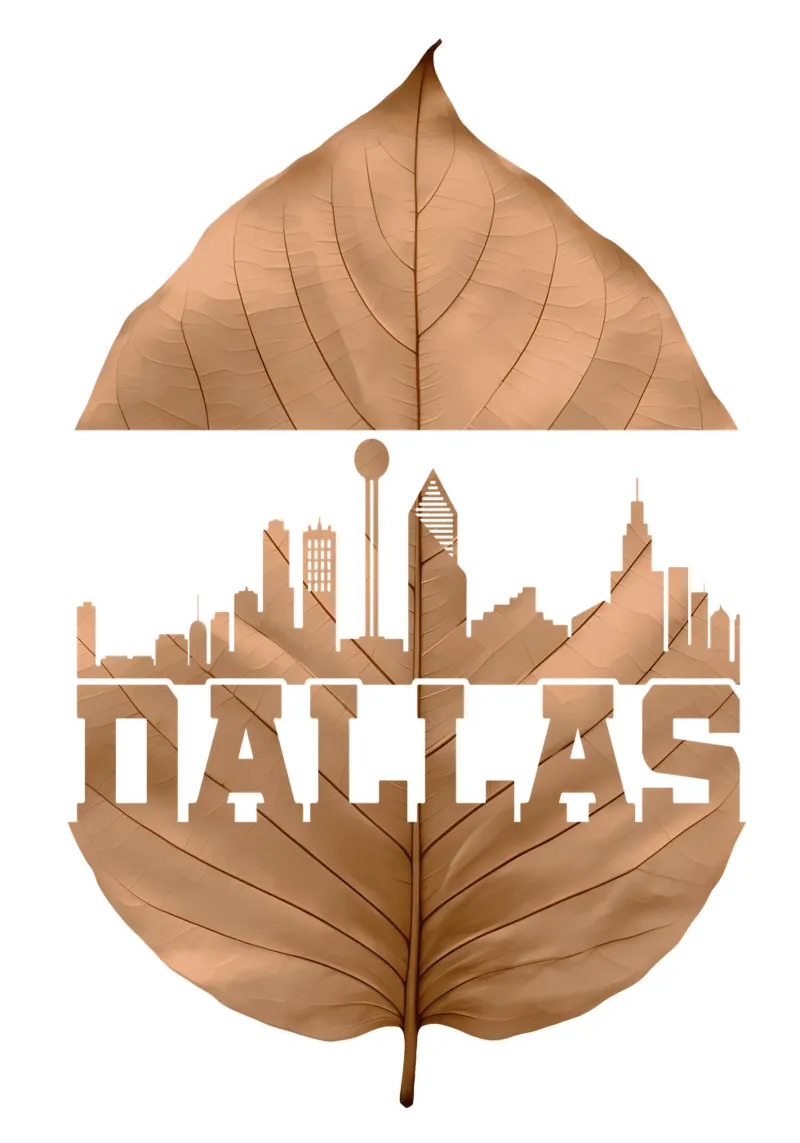 ilustrazione di taglio della foglia dello skyline della città di dallas alluminio dibond da kahfiza