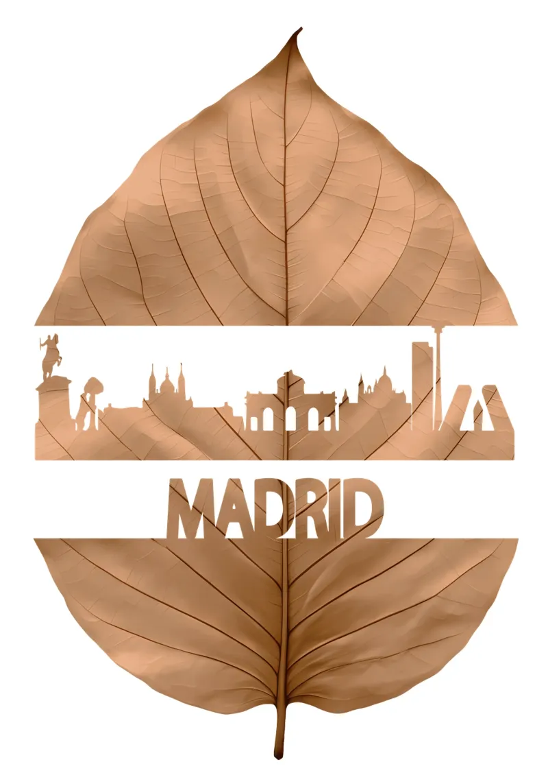 skyline della città di madrid ilustrazione di taglio della foglia tela con Cornice a cassetta da kahfiza
