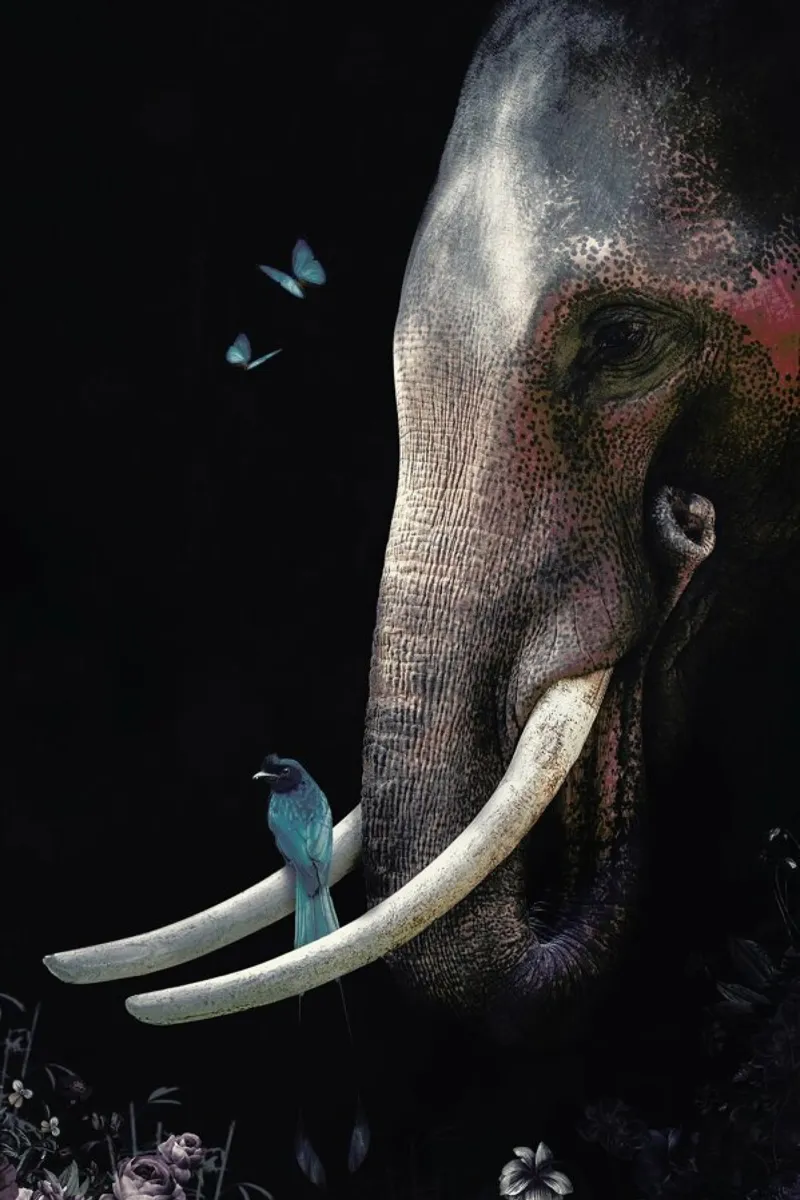 Elephant 3 pellicola backlit da Wouter Rikken
