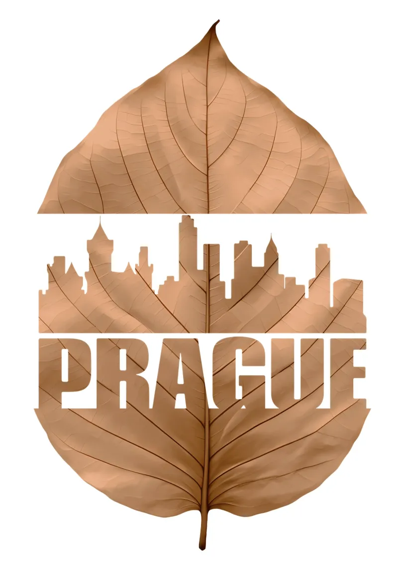 skyline della città di praga illustrazione di taglio delle foglie pellicola backlit da kahfiza