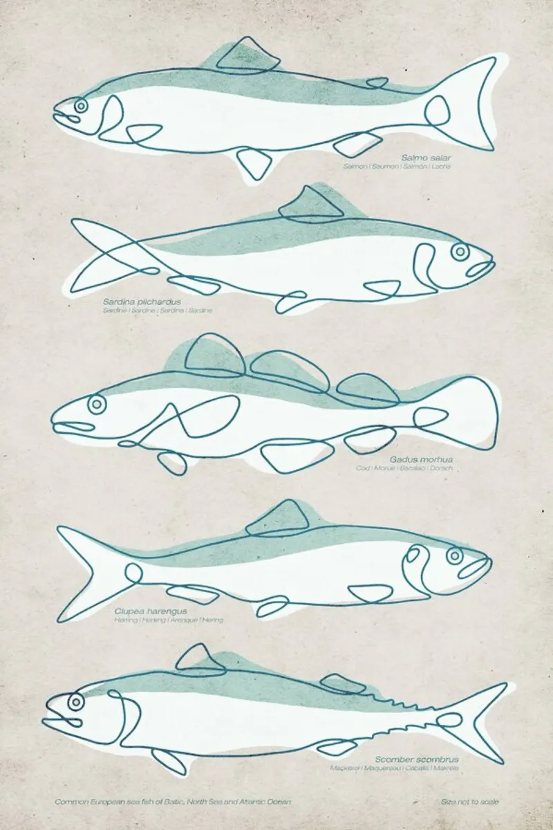 Pisces carta hahnemühle da Kuba Gornowicz